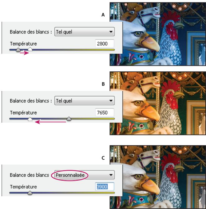 ADOBE PHOTOSHOP CS4 - Options de balance des blancs dans Camera Raw - 1