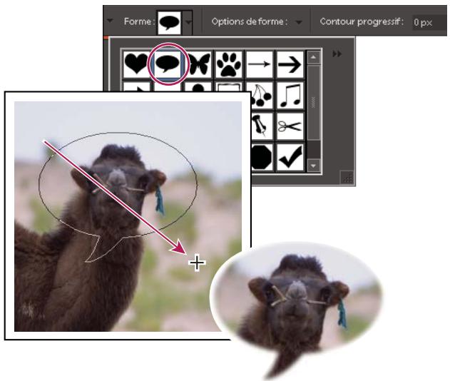 ADOBE PHOTOSHOP ELEMENTS 8 - Utilisation de l'outil Emporte-pièce - 1
