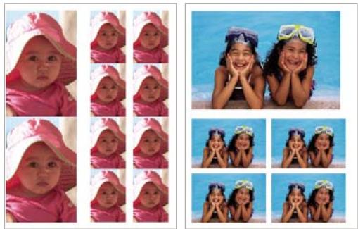 ADOBE PHOTOSHOP ELEMENTS 8 - Impression d'une collection d'images - 1