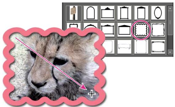 ADOBE PHOTOSHOP ELEMENTS 8 - Dessin d'une forme personnalisée - 1