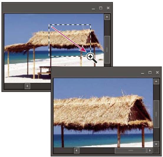 ADOBE PHOTOSHOP ELEMENTS 8 - Agrandissement ou réduction de l'image - 1