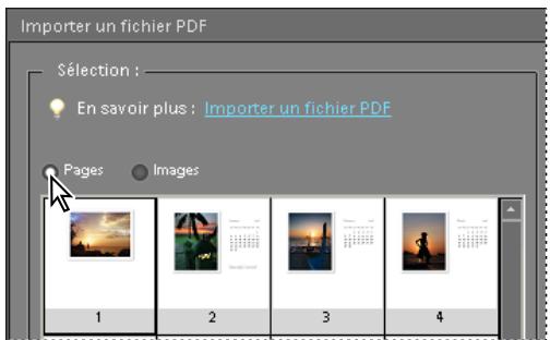 ADOBE PHOTOSHOP ELEMENTS 8 - Ouverture d'un fichier PDF - 1