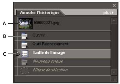 ADOBE PHOTOSHOP ELEMENTS 8 - Utilisation du panneau Annuler l'historique (Editeur) - 1