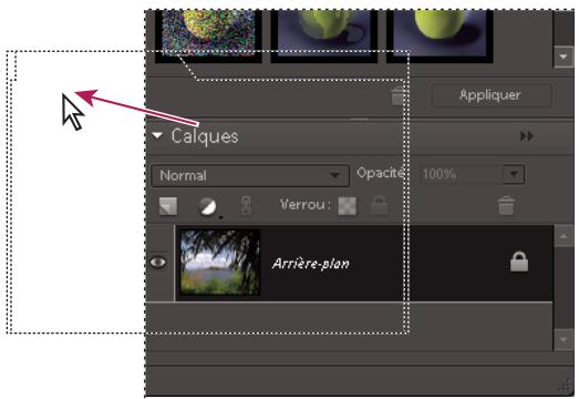 ADOBE PHOTOSHOP ELEMENTS 8 - A propos des panneaux - 1