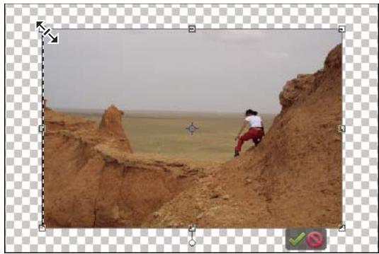 ADOBE PHOTOSHOP ELEMENTS 8 - Mise à l'échelle d'un élément - 2