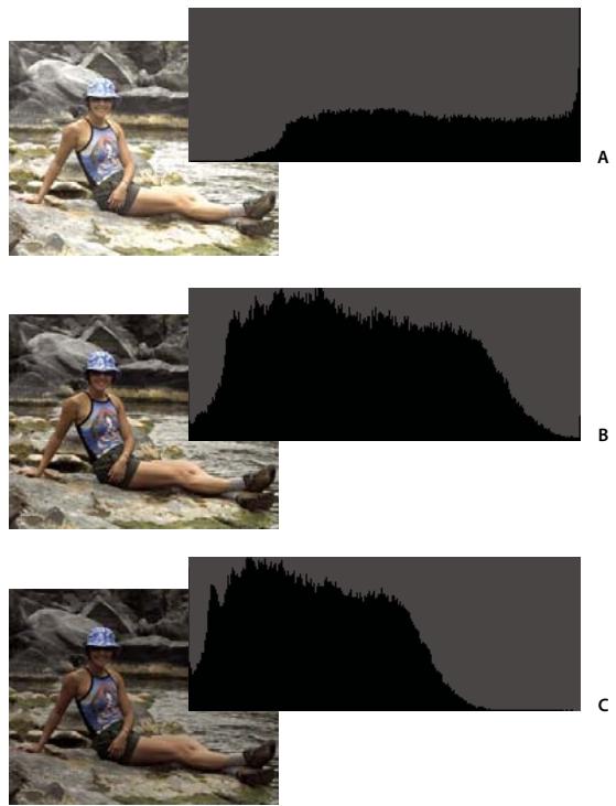 ADOBE PHOTOSHOP ELEMENTS 8 - A propos des histogrammes - 2