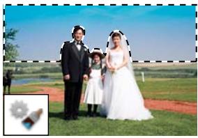 ADOBE PHOTOSHOP ELEMENTS 8 - A propos des outils de sélection - 9