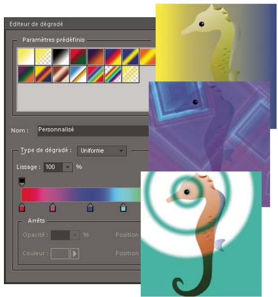 ADOBE PHOTOSHOP ELEMENTS 8 - A propos des dégradés - 1