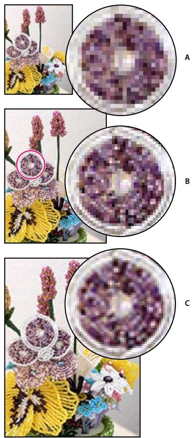 ADOBE PHOTOSHOP ELEMENTS 8 - Rééchantillonnage d'une image - 1