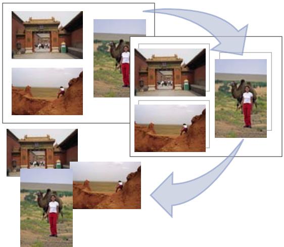 ADOBE PHOTOSHOP ELEMENTS 8 - Division d'une image numérisée contenant plusieurs photos - 1