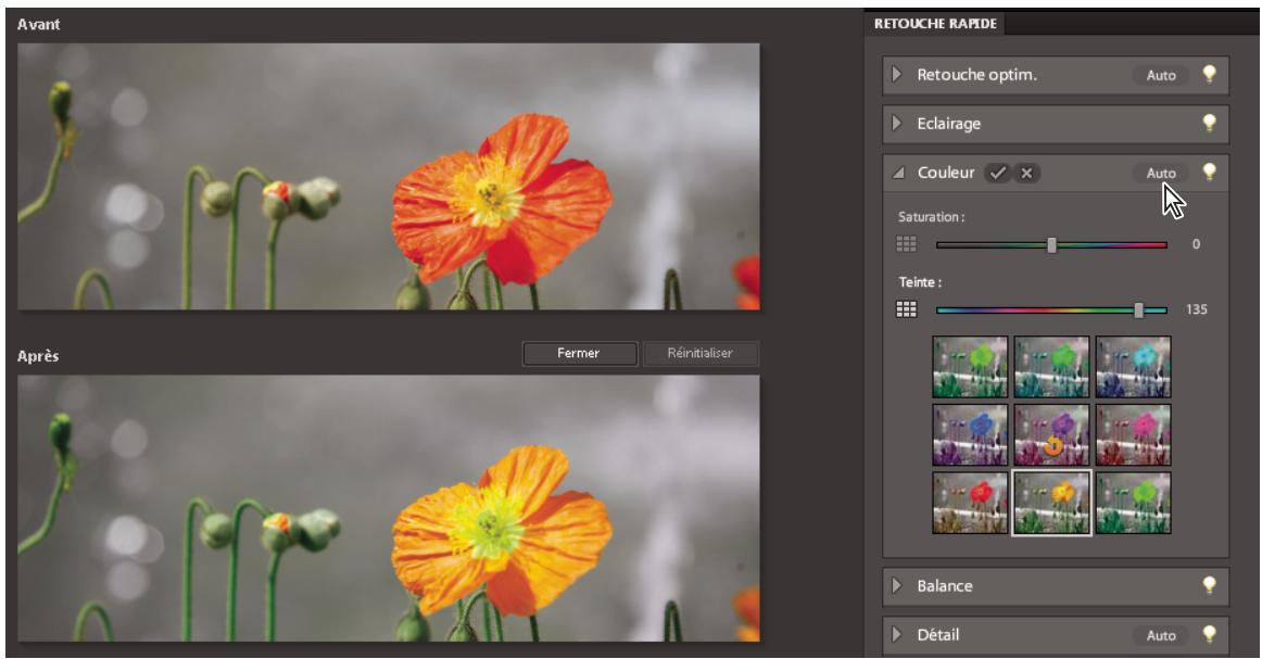 ADOBE PHOTOSHOP ELEMENTS 8 - Aperçu en mode Retouche rapide - 1