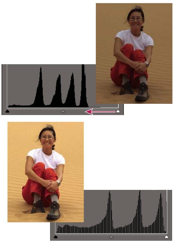 ADOBE PHOTOSHOP ELEMENTS 8 - Réglage des tons foncés et de la luminosité à l'aide des niveaux - 1