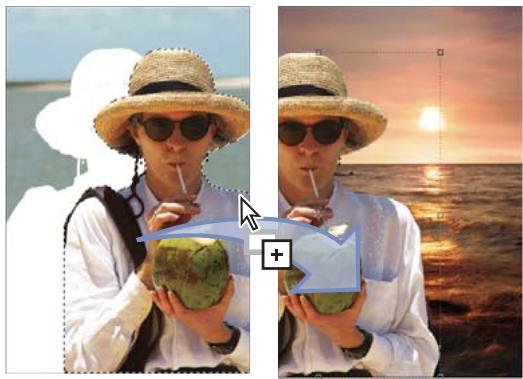 ADOBE PHOTOSHOP ELEMENTS 8 - Déplacement d'une sélection - 1