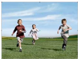 ADOBE PHOTOSHOP ELEMENTS 8 - Recomposition - 3