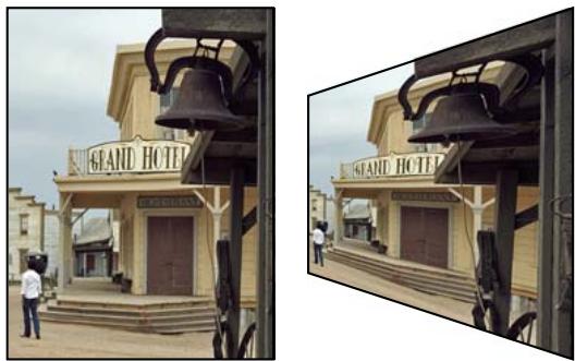 ADOBE PHOTOSHOP ELEMENTS 8 - Application d'une perspective à un élément - 1