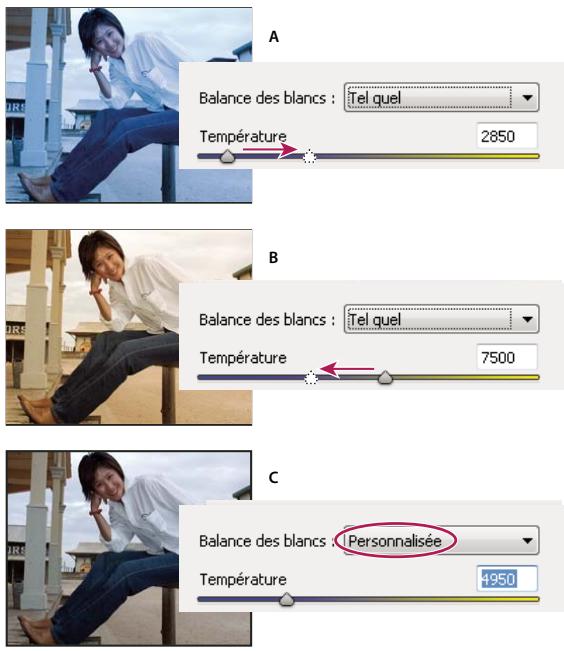 ADOBE PHOTOSHOP ELEMENTS 8 - Commandes de la balance des blancs pour les fichiers Camera Raw - 1