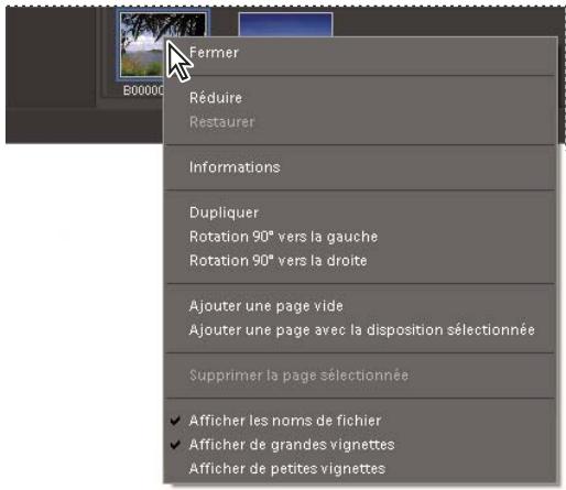 ADOBE PHOTOSHOP ELEMENTS 8 - Utilisation des menus contextuels - 1