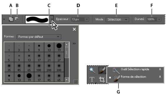 ADOBE PHOTOSHOP ELEMENTS 8 - Utilisation de l'outil Forme de sélection - 1