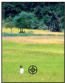 ADOBE PHOTOSHOP ELEMENTS 8 - Correction des imperfections importantes - 1
