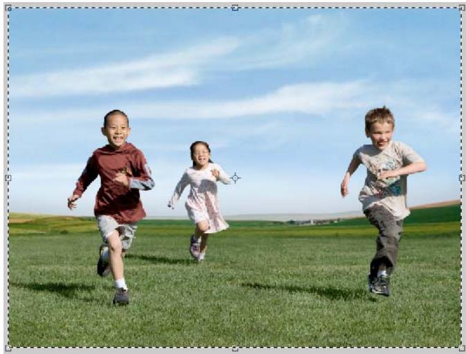 ADOBE PHOTOSHOP ELEMENTS 8 - Recomposition - 2