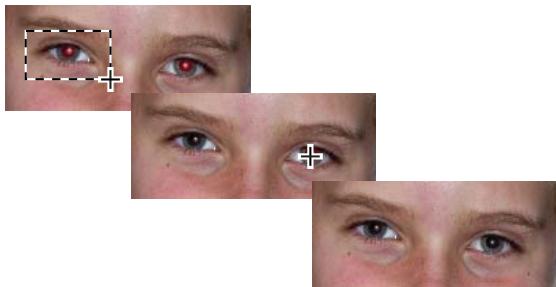 ADOBE PHOTOSHOP ELEMENTS 8 - Suppression précise de l'effet yeux rouges - 1