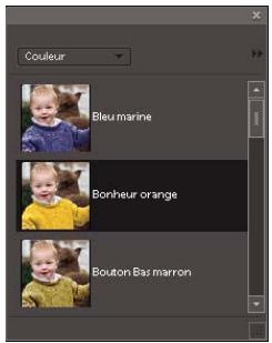 ADOBE PHOTOSHOP ELEMENTS 8 - Réglage de la couleur et de la tonalité à l'aide des formes dynamiques - 4