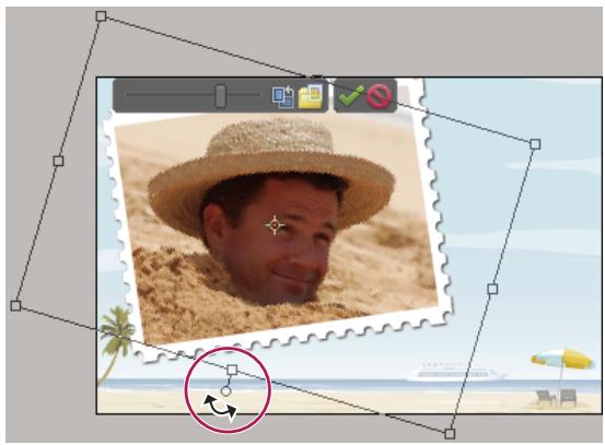 ADOBE PHOTOSHOP ELEMENTS 8 - Rotation de photos dans un projet photo - 1