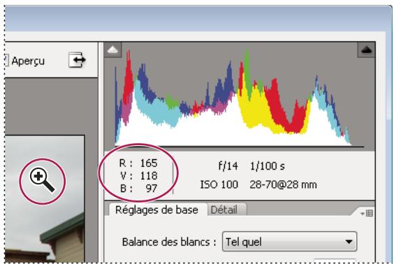 ADOBE PHOTOSHOP ELEMENTS 8 - Utilisation de l'histogramme et des valeurs RVB dans les fichiers Camera Raw - 1