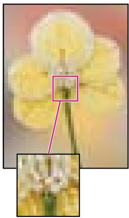 ADOBE PHOTOSHOP ELEMENTS 8 - A propos de la taille et de la résolution d'image - 1
