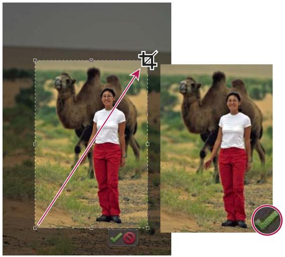 ADOBE PHOTOSHOP ELEMENTS 8 - Recadrage d'une image - 1