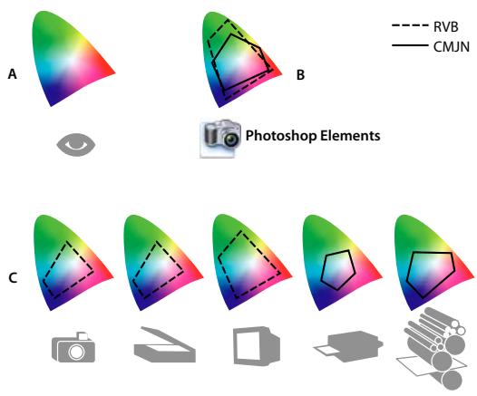 ADOBE PHOTOSHOP ELEMENTS 8 - A propos de la gestion des couleurs - 1