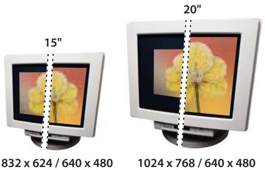 ADOBE PHOTOSHOP ELEMENTS 8 - A propos de la résolution du moniteur - 1