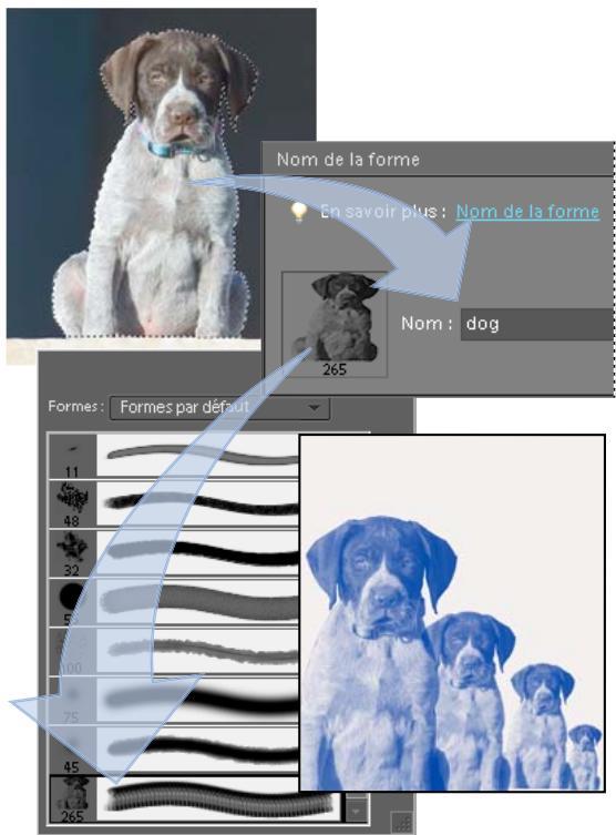 ADOBE PHOTOSHOP ELEMENTS 8 - Création d'une forme personnalisée à partir d'une image - 1