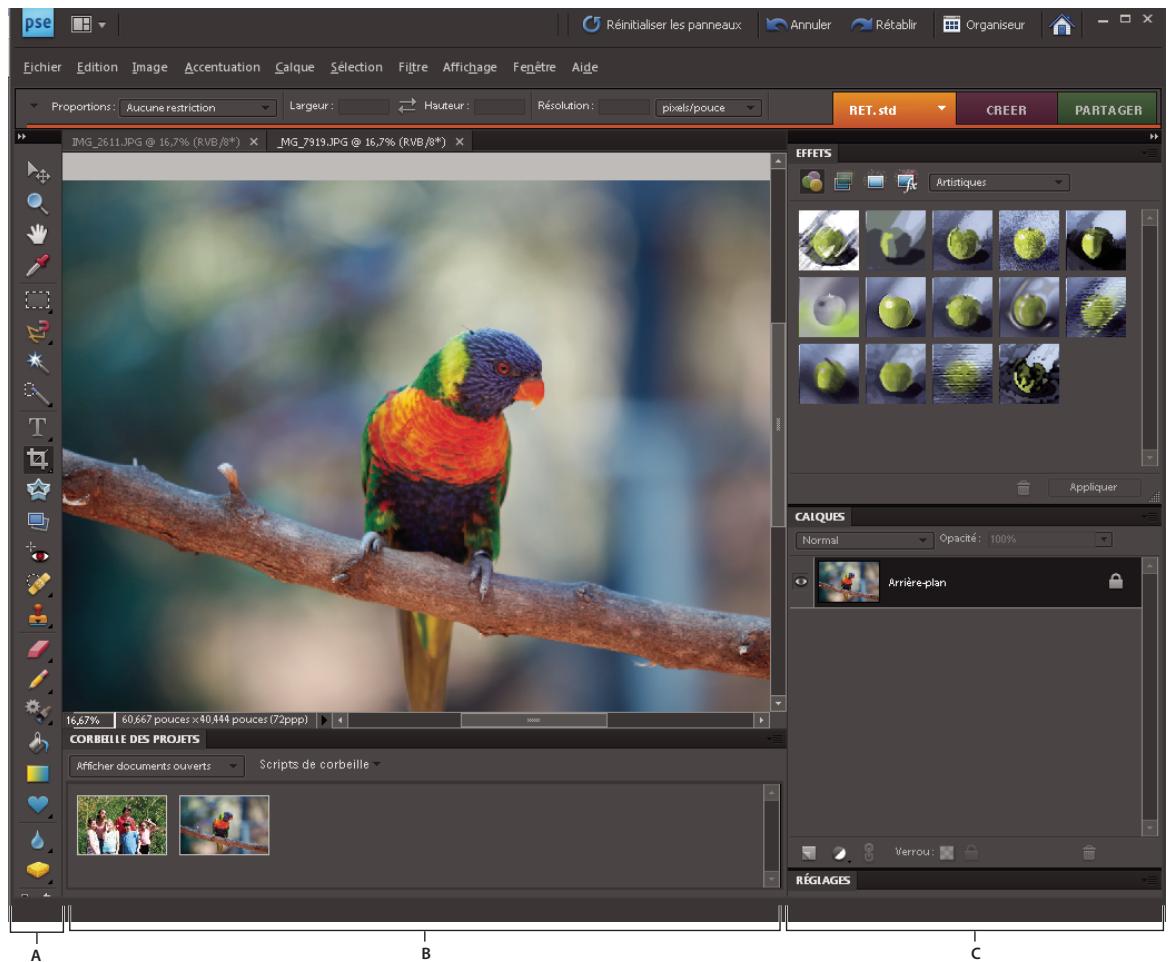 ADOBE PHOTOSHOP ELEMENTS 8 - Correction de la couleur en mode Retouche standard - 1