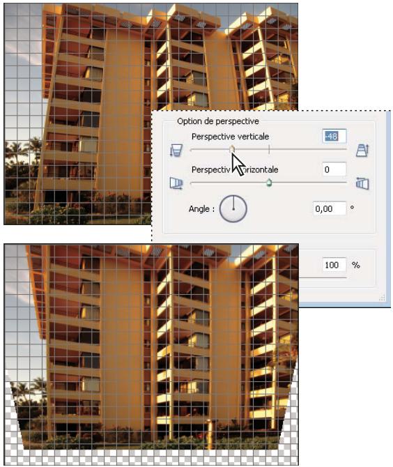 ADOBE PHOTOSHOP ELEMENTS 8 - Correction de la distorsion de l'objectif - 1