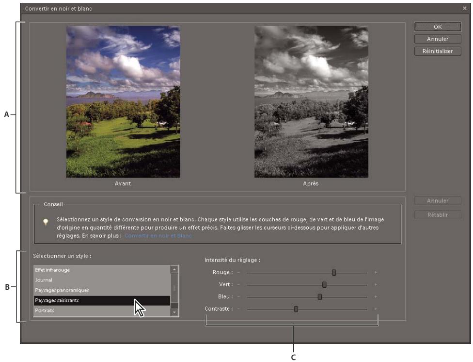 ADOBE PHOTOSHOP ELEMENTS 8 - Conversion précise des images en noir et blanc - 2