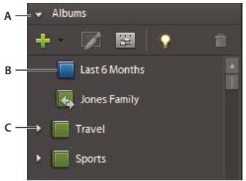 ADOBE PREMIERE ELEMENTS 7.0 - A propos des albums dynamiques - 1