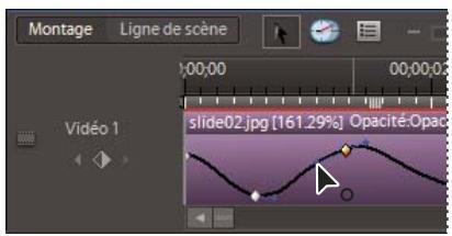 ADOBE PREMIERE ELEMENTS 7.0 - Contrôle du changement par interpolation - 1