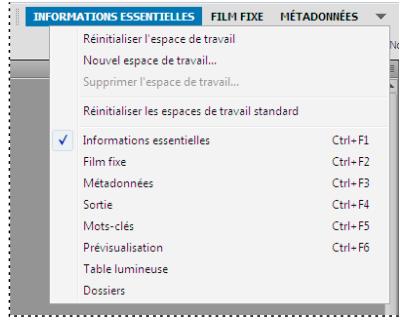 ADOBE VERSION CUE CS4 - Sélectionner un espace de travail - 1
