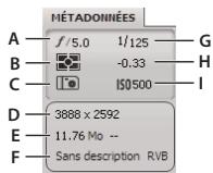 ADOBE VERSION CUE CS4 - Afficher ou masquer le résumé des métadonnées - 1