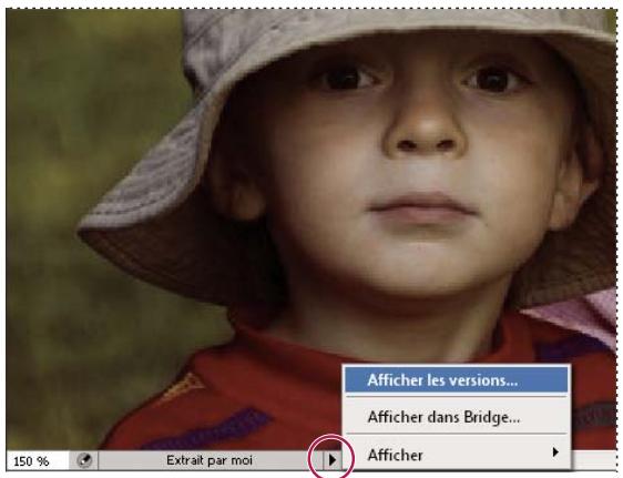 ADOBE VERSION CUE CS4 - Affichage d'informations dans Version Cue - 1
