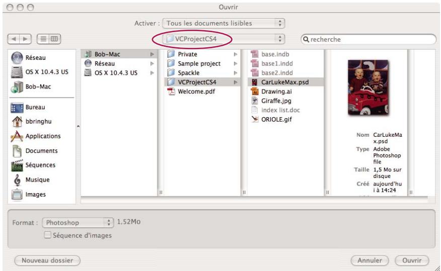 ADOBE VERSION CUE CS4 - A propos d'Adobe Drive - 2