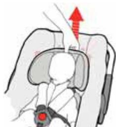 CONCORD INTENSE - Ajuste de la alta de los cinturones de+hombres - 2