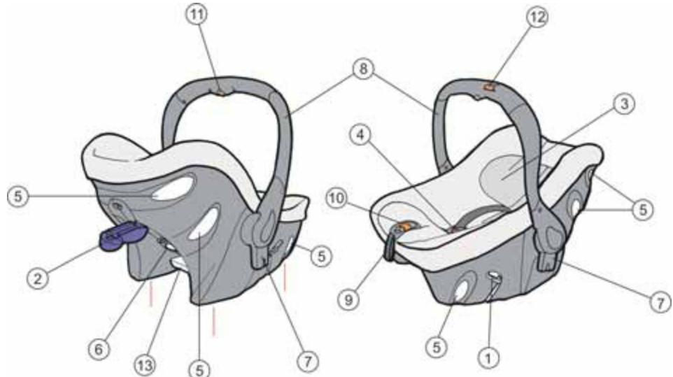 CONCORD INTENSE - FRANÇAIS - 7