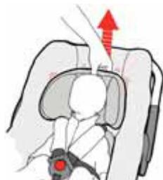 CONCORD INTENSE - Adjusting the height of the shoulder straps - 2