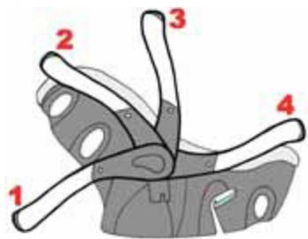 CONCORD INTENSE - Position 4 : - 1