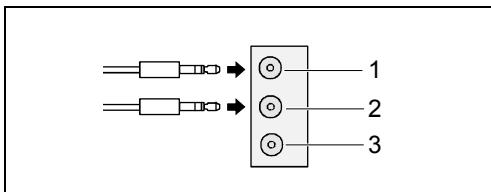 FUJITSU SIEMENS T-BIRD - Analoger 2-Kanal-Audioausgang - 1