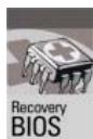 FUJITSU SIEMENS T-BIRD - Recovery BIOS - 1