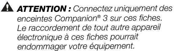 BOSE ENCEINTES MULTIMEDIA COMPANION 3 - Connexion des enceintes au module - 2