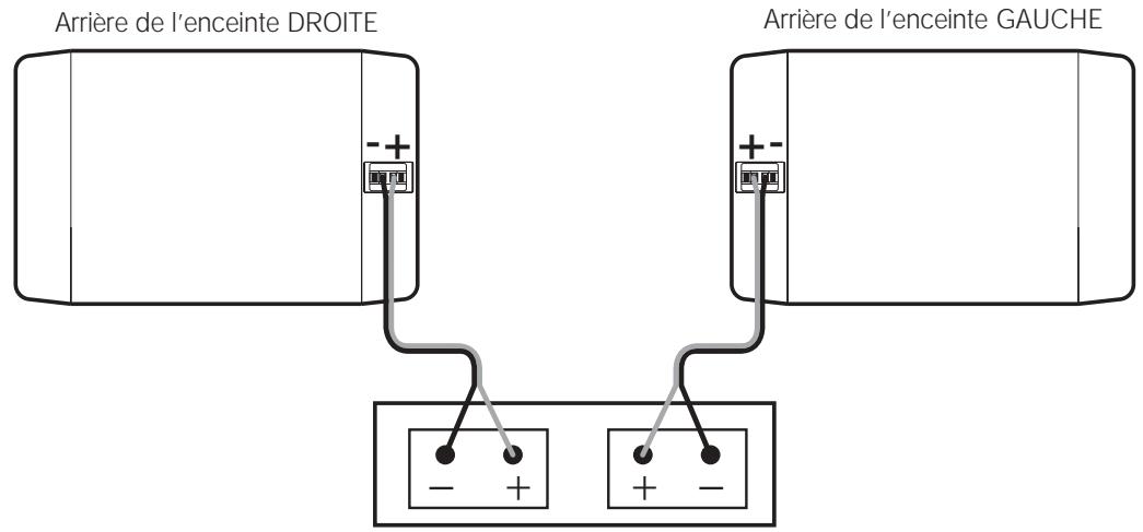 BOSE 301 SERIE IV - Contrôle des connexions - 1